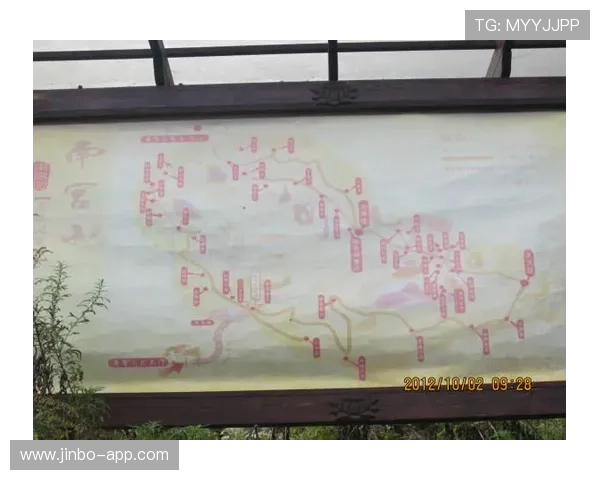 南宫28引领区域发展创新模式解析与未来前景展望