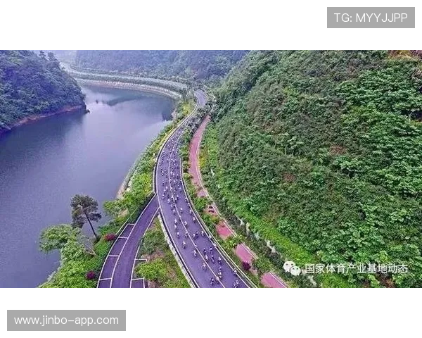 以博鱼体育为核心探讨体育产业发展趋势与数字化创新未来路径分析